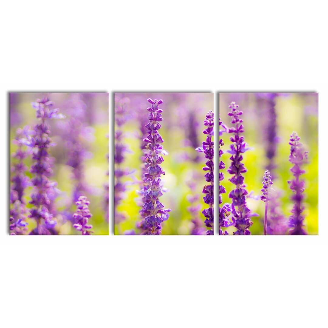 3-tlg. Leinwandbilder-Set Schöne violette Lavendelblüten