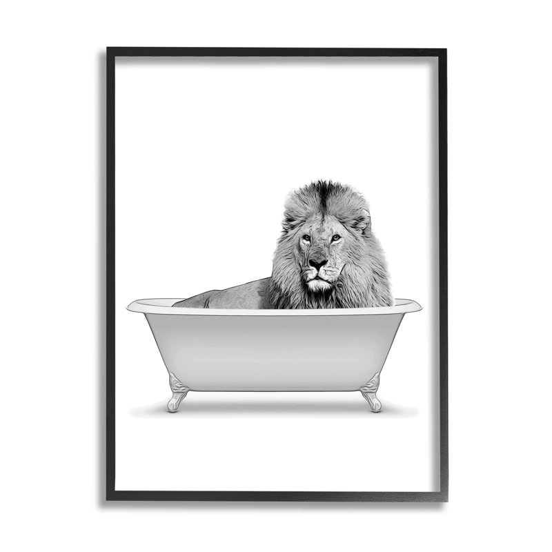 «Lion in Bathroom Tub Wildlife on Wood» par Annalisa Latella, impression, H 24 po x l 30 po, Giclée encadrée noir minuit