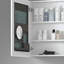 Armoire à pharmacie sans cadre Surface Mirror