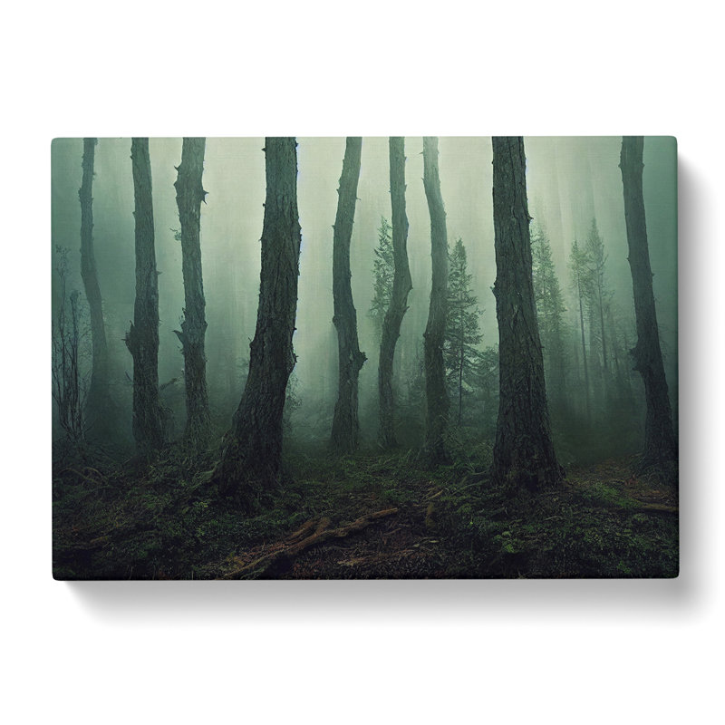 Forest Mist Vol.3 - Wrapped Canvas, 50cm H x 76cm W x 3cm D
