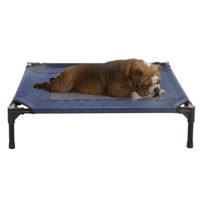 Lit pour chien surélevé PETMAker 30 x 24 pouces - Bleu