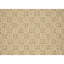 Tapis brun clair 2 pi x 8 pi Ebern Designs Newson-1935640891