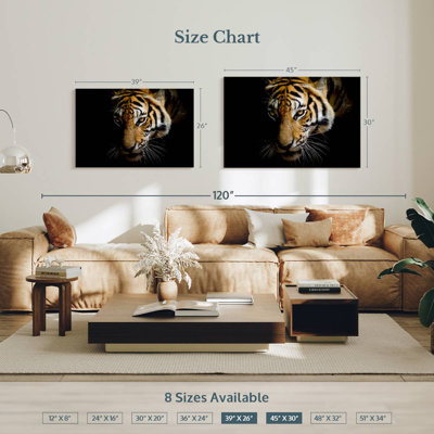Tigre de Sumatra Brampt
