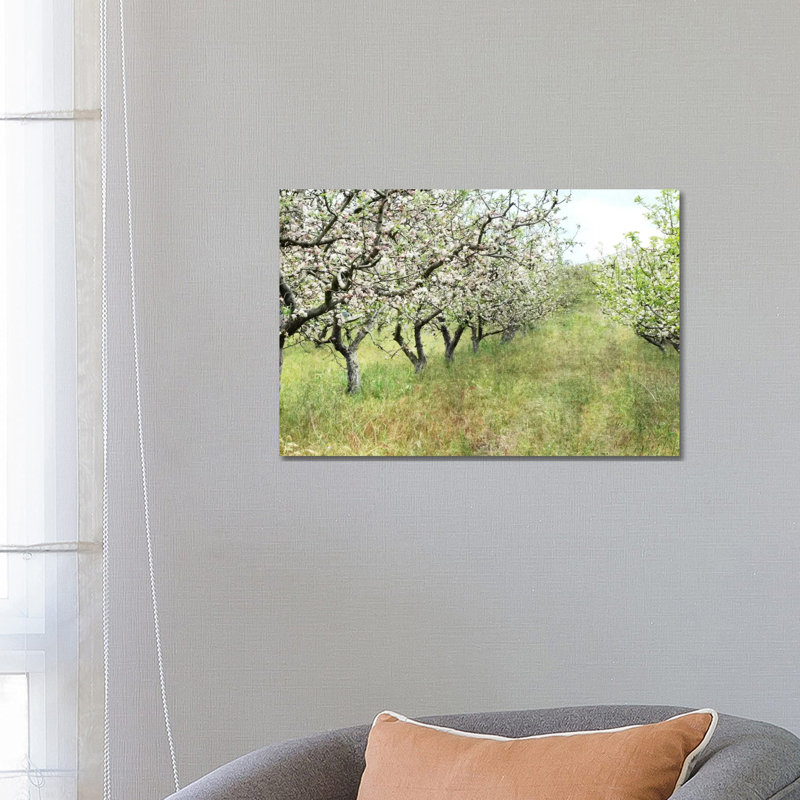 Apple Orchard by Lupen Grainne - Wrapped Canvas Print, 66.04 cm H x 45.72 cm W x 1.91 cm D