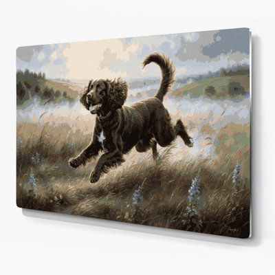 Dogs Irish Water Spaniel Brown Metal Wall Art