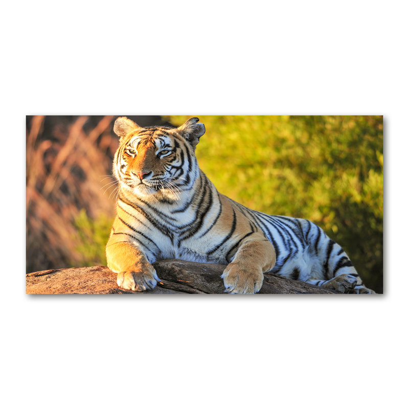Portrait of a tiger 1 Piece Wrapped Canvas Wall Art