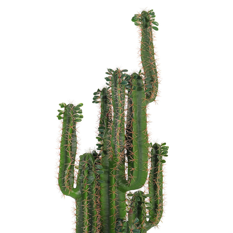 150cm Cactus Topiary in Pot