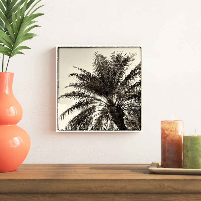 Palmier sépia I, H 12 po x l 12 po x P 1,25 po