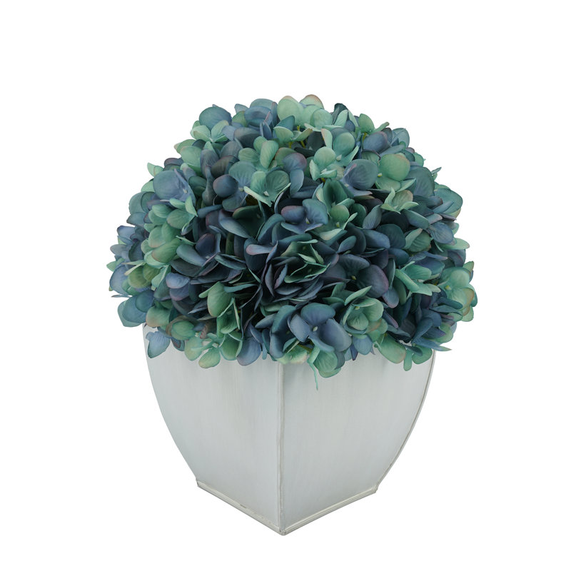 Arrangements floraux d'hortensias en pot, Turquoise antique