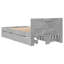 Storage Bed-58558661-58558670