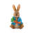 Peter Rabbit Holding a Carrot