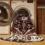 Machine Washable Persian Black Area Rug-588649240