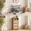 Shoe Storage Cabinet