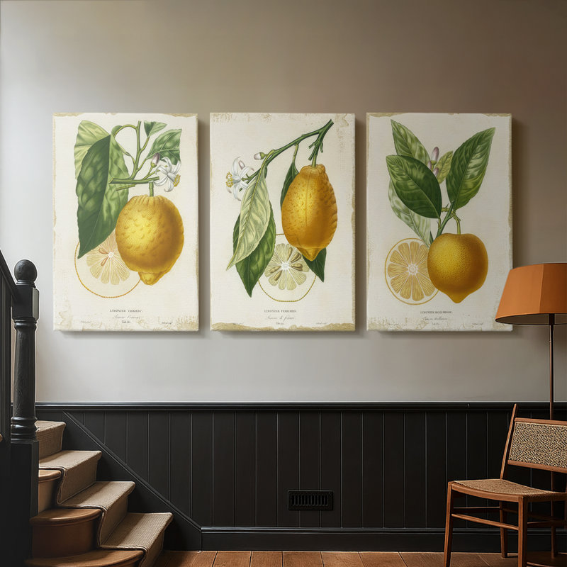 French Lemon I - toile tendue avec châssis sur mesure - 3 pièces, Toile tendue, H 12 po x l 24 po