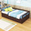 Dovber Twin Size Wooden Daybed with Trundle-399657480