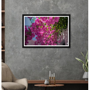 Architecture Collection " Bougainvillea Walkway " by Tim Klein