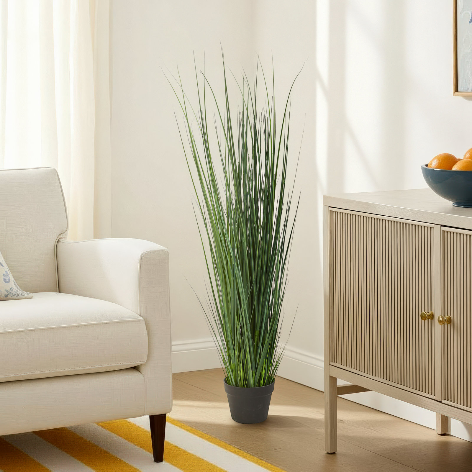 48'' Plant