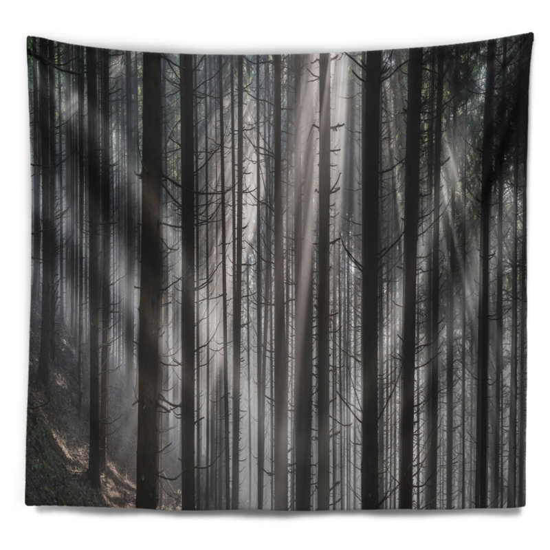 Rayons de soleil parcourant une tapisserie sombre forêt, H 32 po x l 39 po