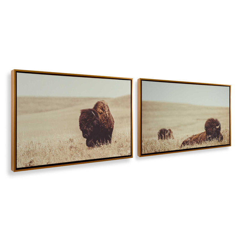 Prairie Bisons Set of 2 Wrapped Canvas, 32" x 48", Cadre flottant, Or poli, H 13 po x l 38 po