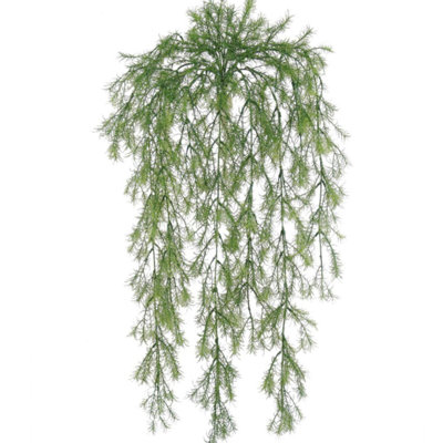 Ensemble de 12 plantes 12 pièces