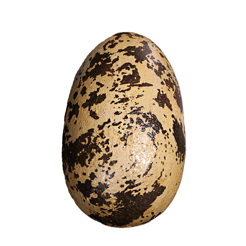 Small Theropod Dinosaur Egg Life Size Statue