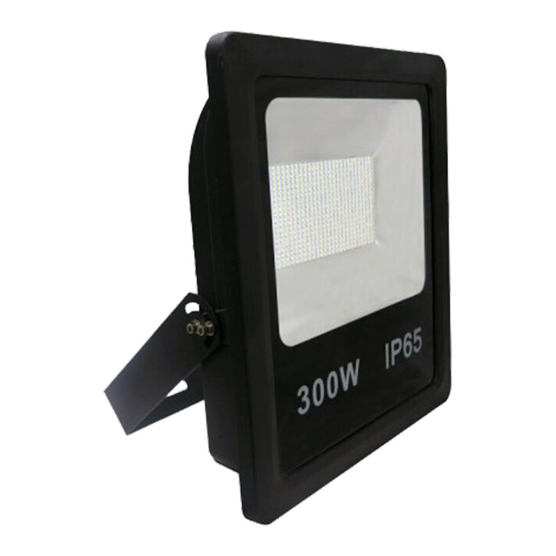 Alleisha Led Smd Non Pir Floodlight, 400W
