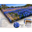 «Bluebonnet Valley Oak - Texas Wildflower Landscape», art mural sur toile tendue-19004260