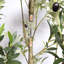 Olive artificielle avec pot-1267324233