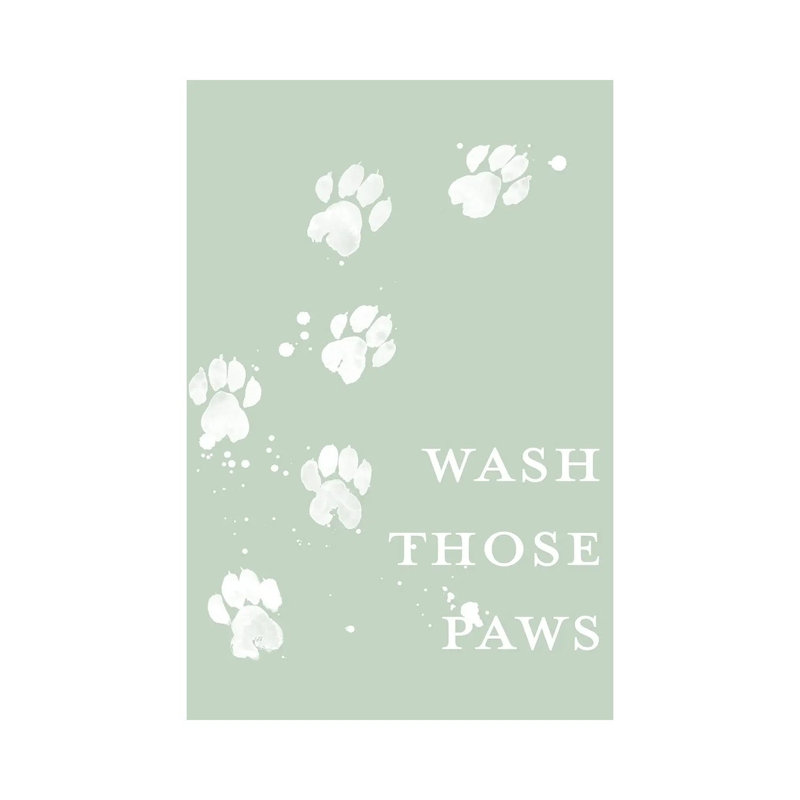 Wash Your Paws III by Grace Popp - Wrapped Canvas Painting, 20.32 cm H x 30.48 cm W