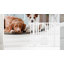Safety Barrier Stair Pressure Mounted Pet Gate