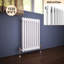 Zoie Horizontal Traditional Colosseum Radiator-165235301