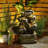 Arist Hand Crafted Weather Resistant Rock Fountain with Light