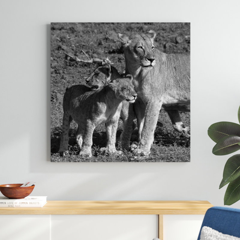 Lionne et oursons, H 36 po x l 36 po
