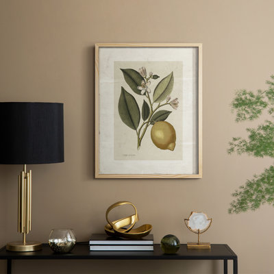 Vintage Floral Print CCCLXXIII Framed Print - Solid Wood