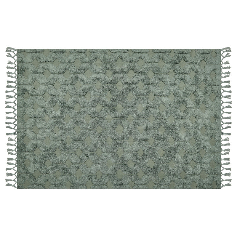 Hessmer Geometric Cotton Hand Woven Area Rug, Rectangle 140 x 200cm