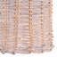 Nantucket 1-Light Armed Sconce-38419604