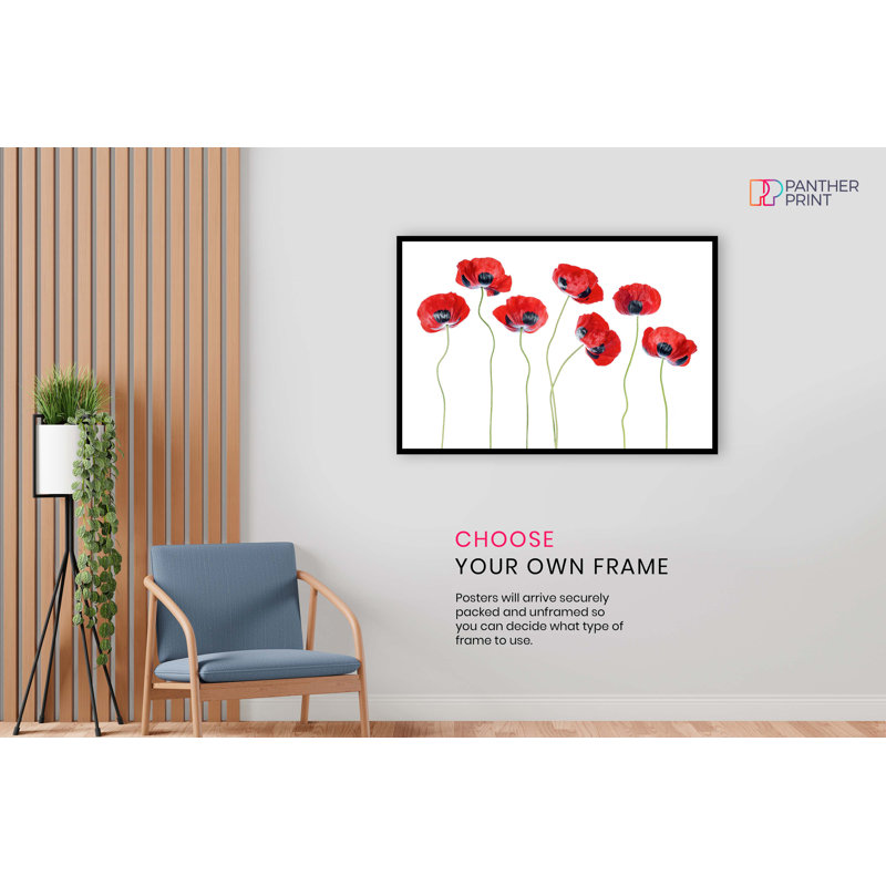Ladybird Poppies by Mandy Disher - Print on Canvas, Paper, 31cm H x 20cm W x 0.5cm D