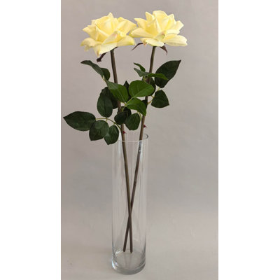 TIGE DE ROSE 27 po