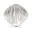 1 1/2" Seashell Knob-104673475-126755986-39948804