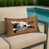 Bull terrier miniature