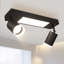 Shinako Spotlight-741480281