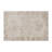 Abstract Beige Indoor and Outdoor Area Rug-1023137451