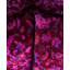 Overdyed Hand-Knotted Wool Modern-Contemporary Purple Runner 2' 7" x 7' 1"