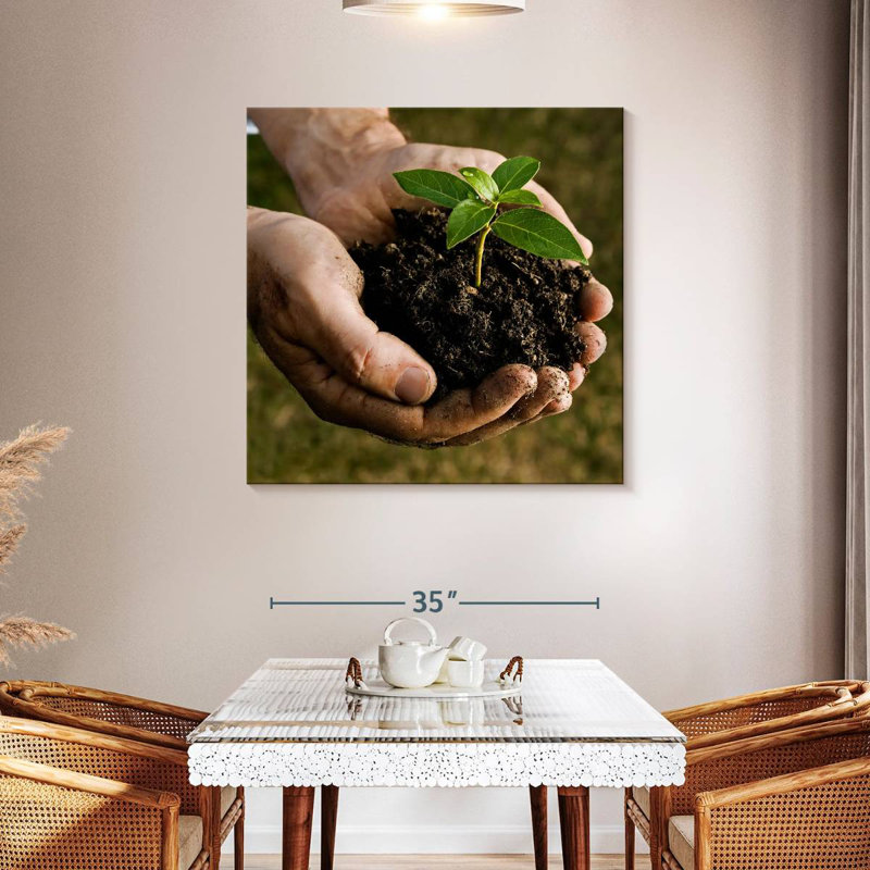 Senne New Seedling Sprouting, 39" H x 39" W