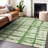Premium Machine Washable Prisco Green Rug-713658153