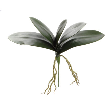14" Phalaenopsis Leaf Cluster- 4 Pack