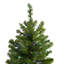 10' Green Canadian Pine Artificial Christmas Tree With 800 Multi-Colored Lights With Stand-936207750