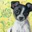 Play with Me 1 Piece Wrapped Canvas Painting-1666818707