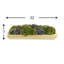Assorted Sedum and Moss Arranged in Wood Planter-1445777727