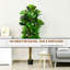 71'' Faux Fiddle Leaf Fig Tree in Planter
